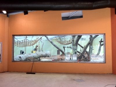 KellGlass Heavy Barrier Installation at Dublin Zoo